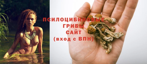 спиды Гусев