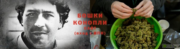 кокаин Дмитриев