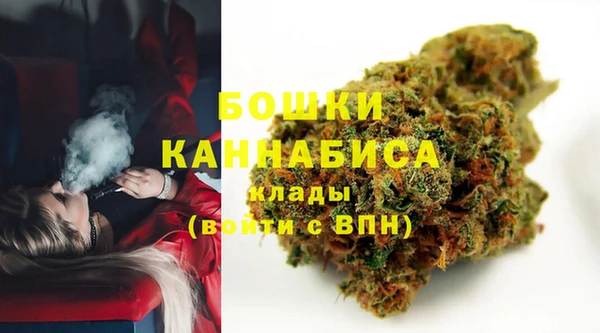 спиды Гусев
