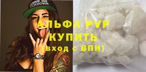 спиды Гусев