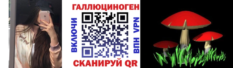 Галлюциногенные грибы MAGIC MUSHROOMS Дегтярск